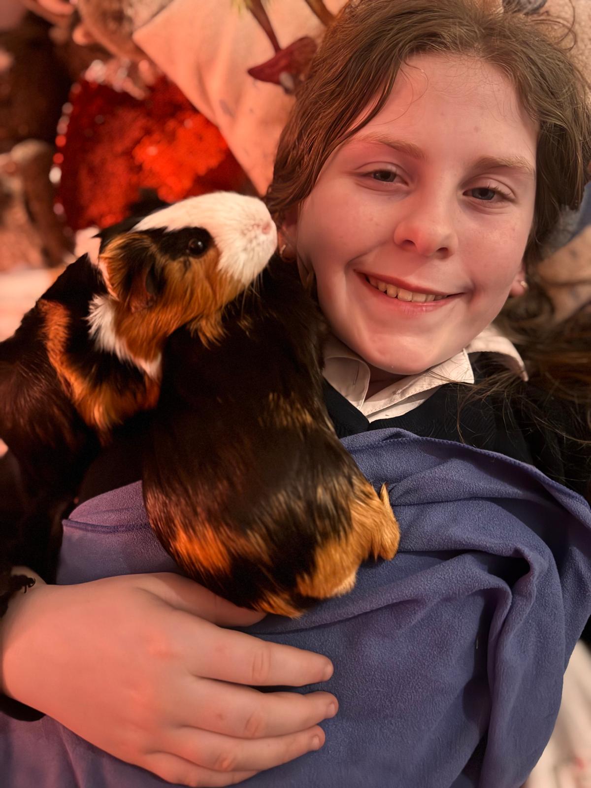 Daughter cuddling guinea pig