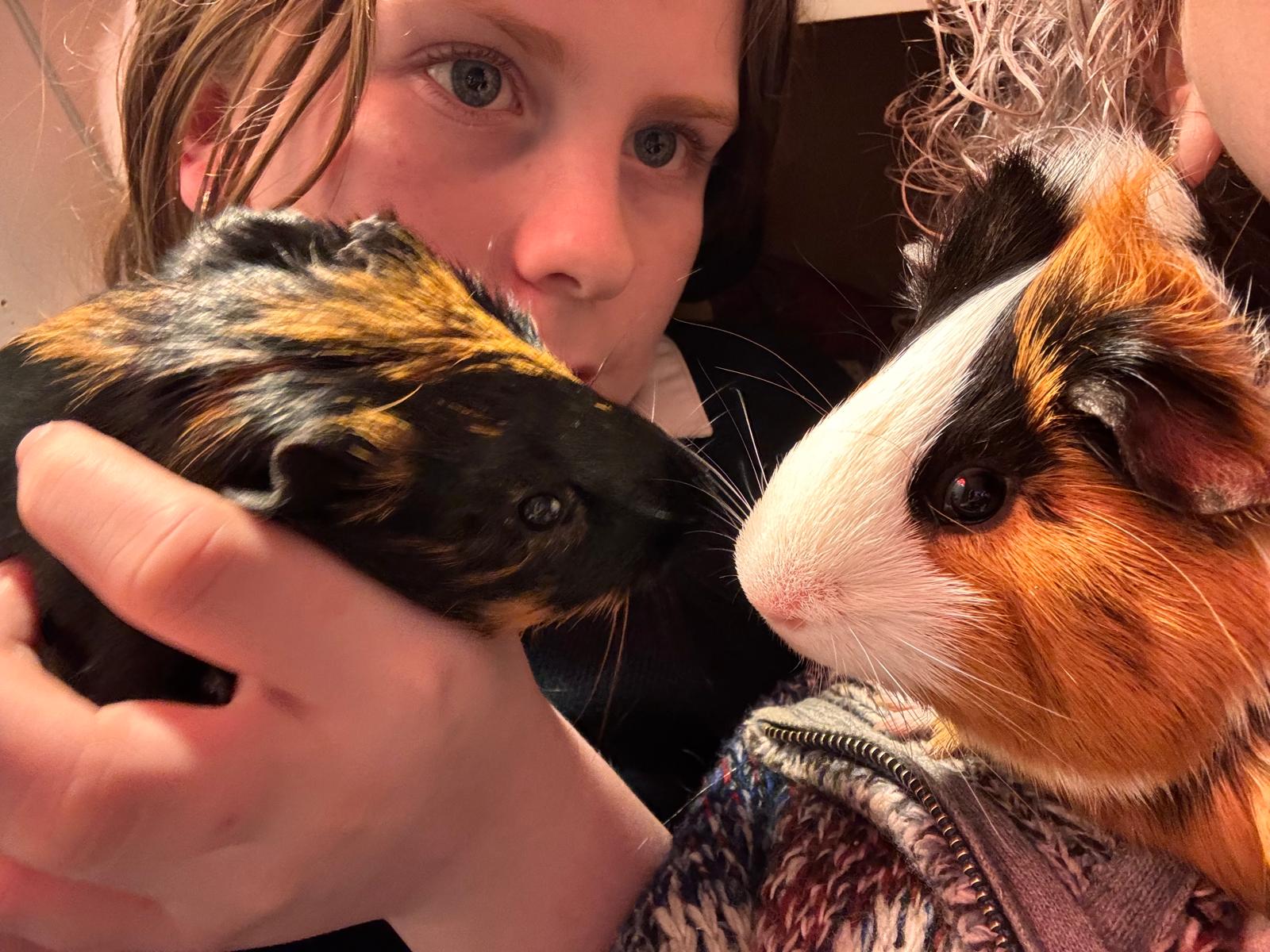 Daughter with both guinea pigs