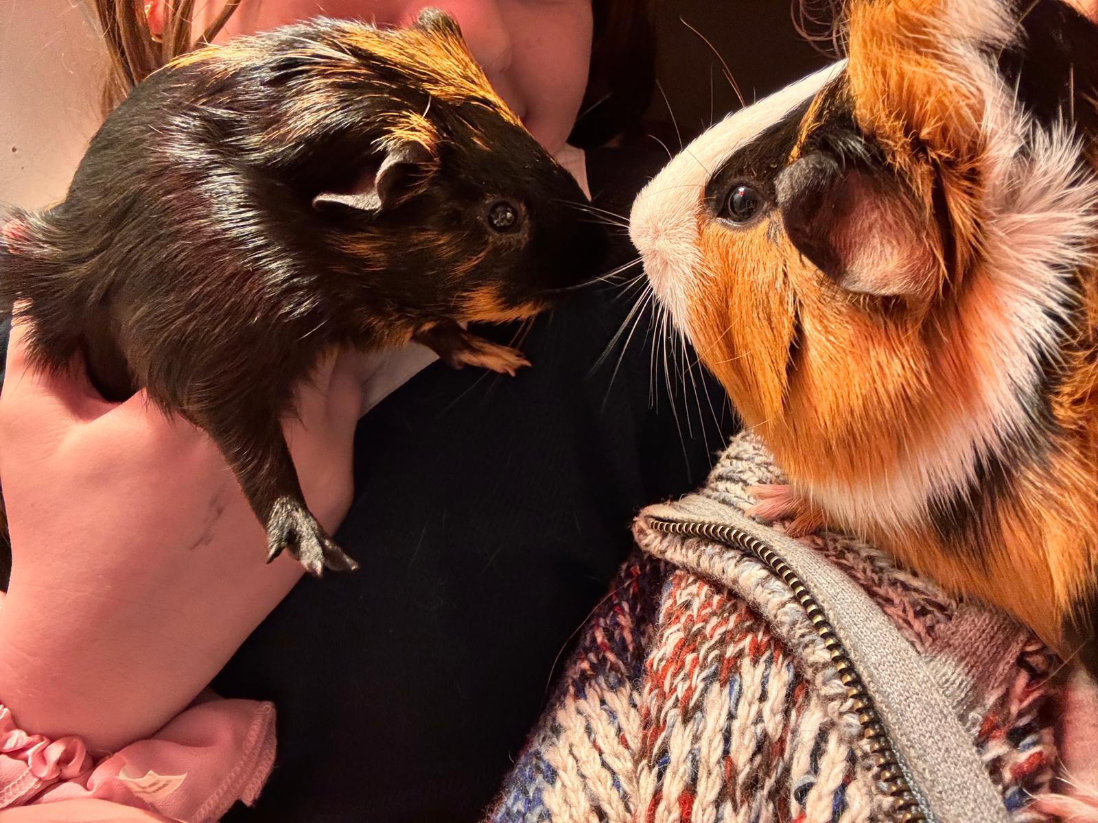 Jet and Patch together